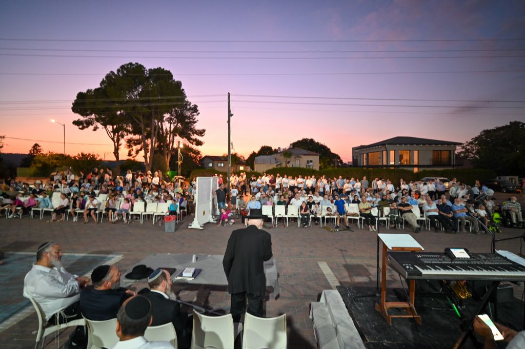 ��� ����� ���� - ���